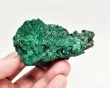 2.91" CHATOYANT FIBROUS MALACHITE Mindingi Mine, Congo Q867