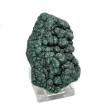 3.26" SPARKLY BOTRYOIDAL MALACHITE Kalukuluku Mine, Congo Q882