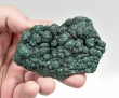3.26" SPARKLY BOTRYOIDAL MALACHITE Kalukuluku Mine, Congo Q882
