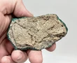 3.26" SPARKLY BOTRYOIDAL MALACHITE Kalukuluku Mine, Congo Q882