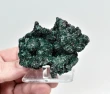 2.91" SPARKLY BOTRYOIDAL MALACHITE Kalukuluku Mine, Congo Q886