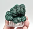 2.48" SPARKLY BOTRYOIDAL MALACHITE Kalukuluku Mine, Congo Q884