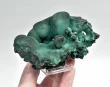4.40" BOTRYOIDAL MALACHITE Kalukuluku Mine, Congo Q880