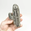 4.68" Polished PYRITE Desert CACTUS Huanzala mine, Peru T804