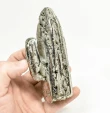 4.84" Polished PYRITE Desert CACTUS Huanzala mine, Peru T801