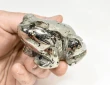 2.71" Polished PYRITE CRYSTAL FROG Carving Huanzala mine, Peru T810