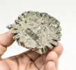 3.14" Polished PYRITE EAGLE BUST Carving Huanzala Mine Peru T814