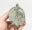 3.62" Polished PYRITE EAGLE BUST Carving Huanzala Mine Peru T813