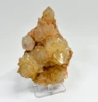 4.68" Iridescent SUNSHINE Cactus Spirit QUARTZ Crystal Cluster South Africa Q896