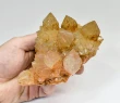 4.68" Iridescent SUNSHINE Cactus Spirit QUARTZ Crystal Cluster South Africa Q896