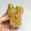 3.85" Iridescent SUNSHINE Cactus Spirit QUARTZ Crystal Cluster South Africa Q895