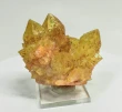 3.26" Iridescent SUNSHINE Cactus Spirit QUARTZ Crystal Cluster South Africa Q893