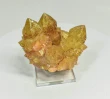 3.26" Iridescent SUNSHINE Cactus Spirit QUARTZ Crystal Cluster South Africa Q893