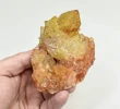 3.59" Iridescent SUNSHINE Cactus Spirit QUARTZ Crystal Cluster South Africa Q892