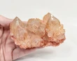 4.05" Iridescent SUNSHINE Cactus Spirit QUARTZ Crystal Cluster South Africa Q889