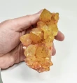 4.29" Iridescent SUNSHINE Cactus Spirit QUARTZ Crystal Cluster South Africa Q890