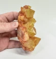 4.29" Iridescent SUNSHINE Cactus Spirit QUARTZ Crystal Cluster South Africa Q890