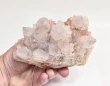 5.82" AMETHYST Cactus Spirit QUARTZ South Africa Q887
