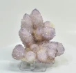 3.66" AMETHYST Cactus Spirit QUARTZ Crystal Cluster South Africa Q900