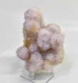 3.97" AMETHYST Cactus Spirit QUARTZ Crystal Cluster South Africa Q914