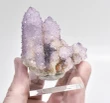 2.44" AMETHYST Cactus Spirit QUARTZ Crystal Cluster South Africa Q918