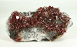6.10" Outstanding Red Gem VANADINITE Crystals on BARITE Mibladen, Morocco P161