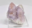 1.92" AMETHYST Cactus Spirit QUARTZ Crystal Cluster South Africa Q924
