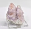 1.92" AMETHYST Cactus Spirit QUARTZ Crystal Cluster South Africa Q924