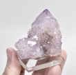 2.12" AMETHYST Cactus Spirit QUARTZ Crystal Cluster South Africa Q925