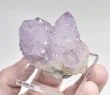1.65" AMETHYST Cactus Spirit QUARTZ Crystal Cluster South Africa Q926