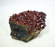 4.37" Dark RED VANADINITE CRYSTALS On Matrix Mibladen, Morocco P118