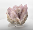 3.34" AMETHYST Cactus Spirit QUARTZ "Video" - South Africa Q464