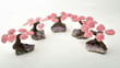 5 PIECE Set of ROSE Quartz Gemstone Bonsai Tree On AMETHYST 6 Petals Brazil T43