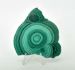 3.66" POLISHED MALACHITE Slice Slab With Stand - Congo A719