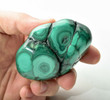 2.87" POLISHED BULLSEYE MALACHITE - Congo A691