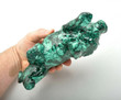 8.14" Beautiful POLISHED MALACHITE Lion Animal Carving - Congo mc594