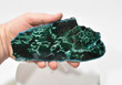 6.88" Polished MALACHITE CHRYSOCOLLA CORNETITE Slice / Slab Congo A802