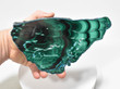 7.71" Polished MALACHITE CHRYSOCOLLA CORNETITE Slice / Slab Congo A797