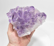 5.74" Beautiful AMETHYST CRYSTAL Quartz Cluster Brazil T165