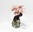 5.47" Beautiful Pink OPAL and Golden PYRITE Bonsai Tree "Video" Peru P879