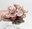 4.72" Beautiful Pink OPAL and Golden PYRITE Bonsai Tree "Video" Peru P874