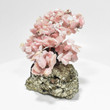 4.60" Beautiful Pink OPAL and Golden PYRITE Bonsai Tree "Video" Peru P867