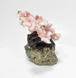4.60" Beautiful Pink OPAL and Golden PYRITE Bonsai Tree "Video" Peru P867