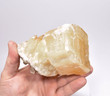 4.88" Golden CALCITE CRYSTAL Tounfit Midlet Morocco T211