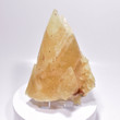 9.05" Golden PHANTOM CALCITE CRYSTAL Tounfit Midlet Morocco T209