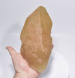 8.26" Golden PHANTOM CALCITE CRYSTAL Tounfit Midlet Morocco T205