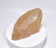 8.26" Golden PHANTOM CALCITE CRYSTAL Tounfit Midlet Morocco T205