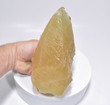 6.88" Golden PHANTOM CALCITE CRYSTAL Tounfit Midlet Morocco T206