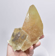 6.88" Golden PHANTOM CALCITE CRYSTAL Tounfit Midlet Morocco T204