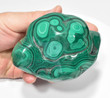 3.93" Beautiful POLISHED MALACHITE "Video" Congo A861